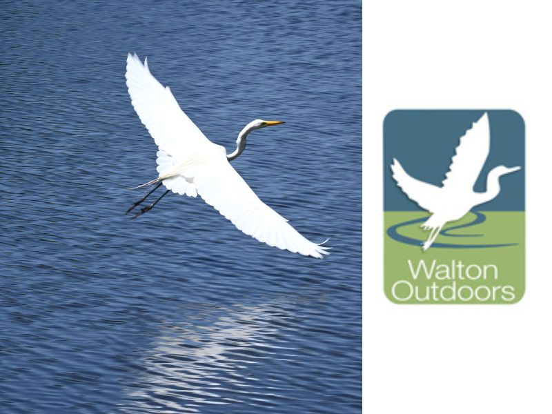 Banner ad for Walton Outdoors