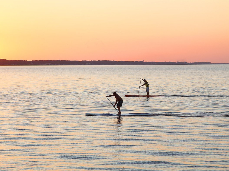 Paddle Boarding on the Bay