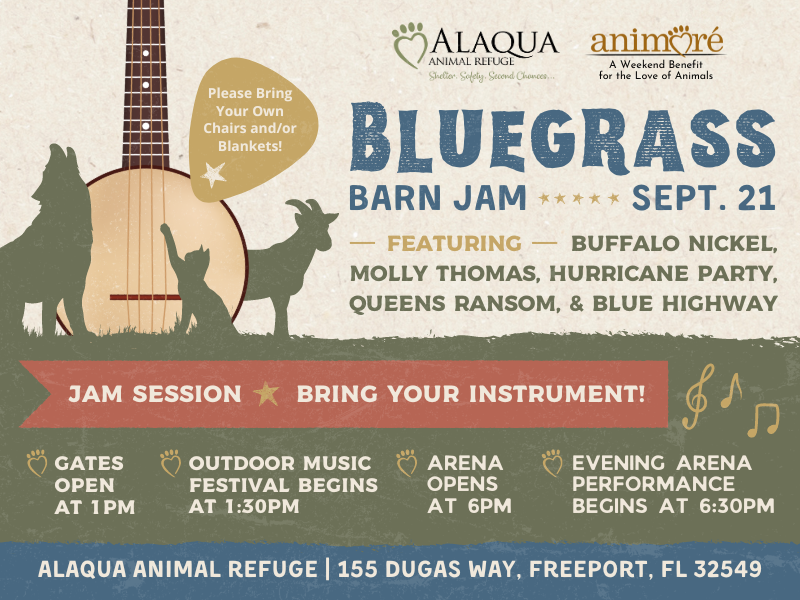 Celebrate Music, Animals, and Community at the Bluegrass Barn Jam