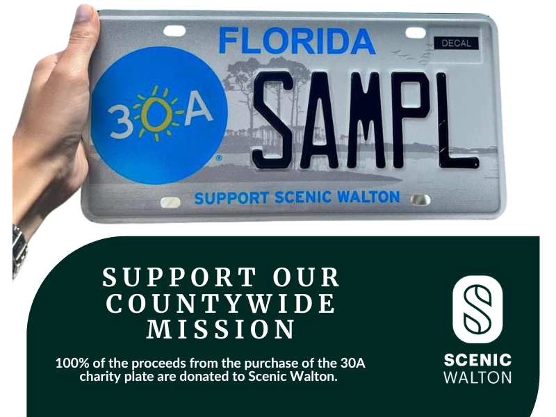 Banner Ad for Scenic Walton