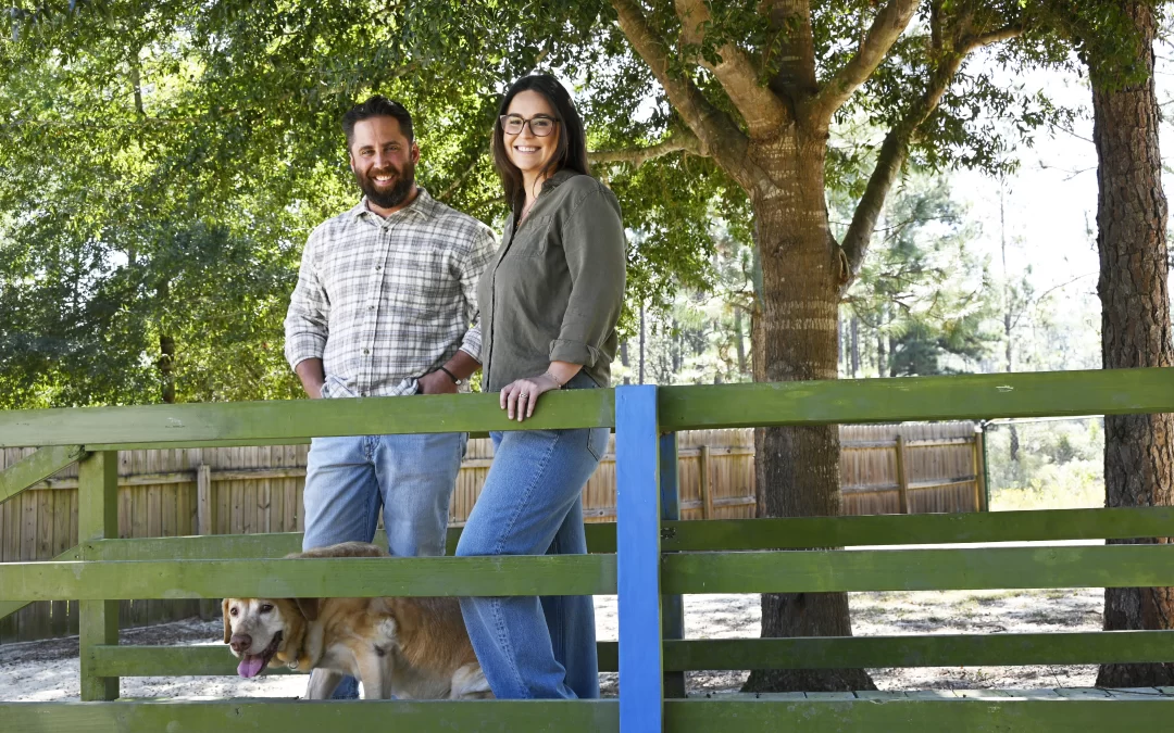 Luxury Dog Training & Boarding on 40 Acres