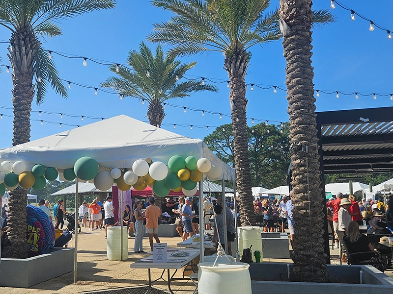 11th Annual Eggs on the Beach Cooking Competition