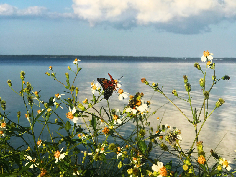 7 Meaningful Ways to Celebrate Mother’s Day in Walton County