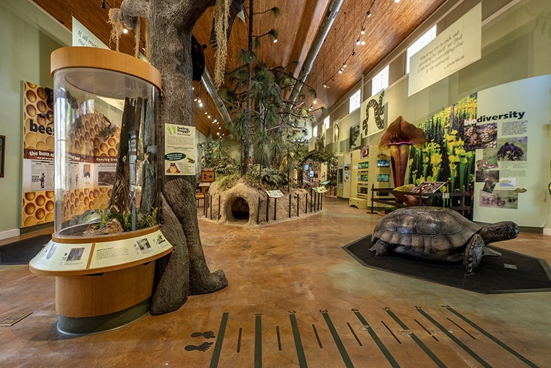 E.O. Wilson Biophilia Center in Freeport Opens to the Public Every Friday Year-Round Beginning September 4